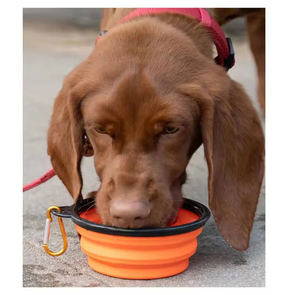 Praktische Faltbare Hundenäpfe